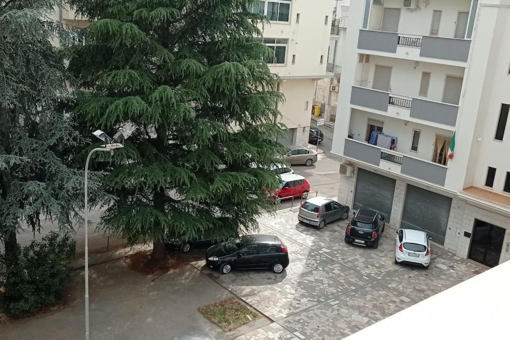 Appartamento Terrazza Bella Vista تْشيستيرنِنو المظهر الخارجي الصورة