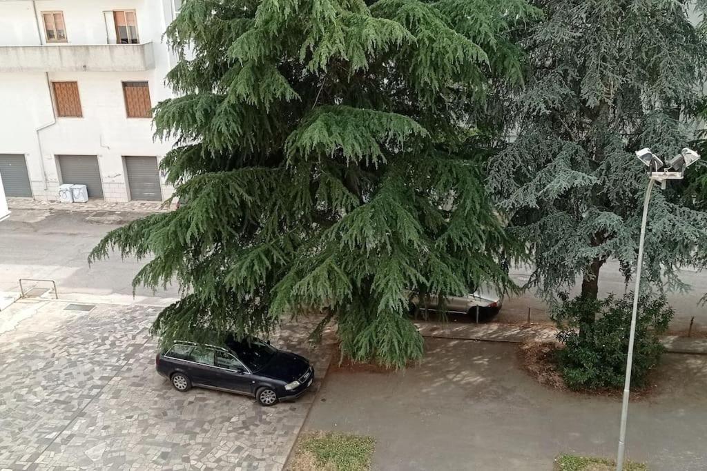 Appartamento Terrazza Bella Vista تْشيستيرنِنو المظهر الخارجي الصورة